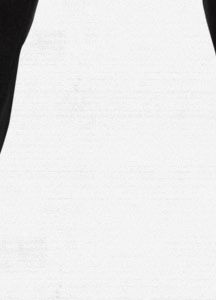 2L Stagger Snowboard Pant