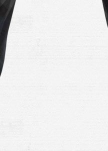 2L Stagger Snowboard Pant