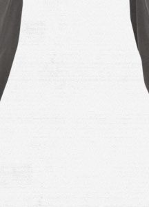 2L Stagger Snowboard Pant