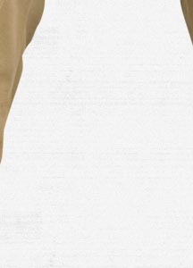 2L Stagger Snowboard Pant
