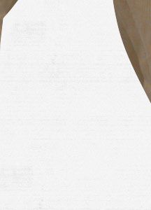 Bulge Snowboard Pant Slim