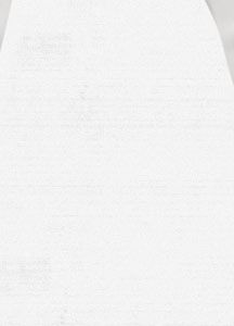 Women's 2L Stratus Snowboard Pant