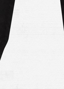 Women's Boomsticks Snowboard Pant