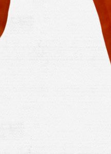Women's Basis Snowboard Pant