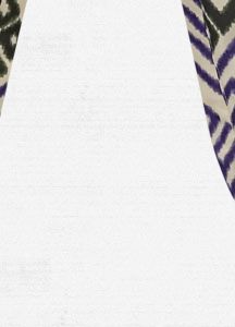 Women's Basis Snowboard Pant