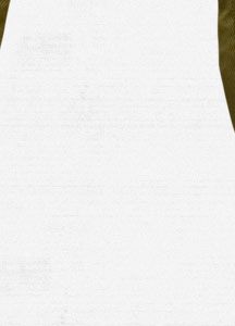 Women's Indulgence Snowboard Pant