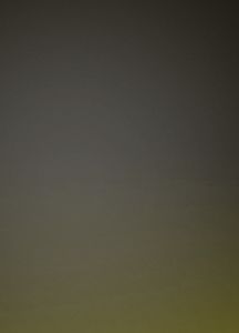 Somerset Goggle