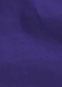 Women's Blizzard Short Sleeve T Shirt