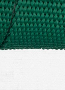 Vista Belt