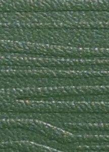 Timber Wallet