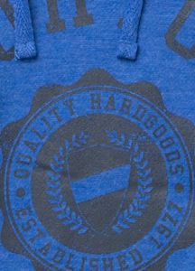 Women's Co-Ed Recycled Pullover Hoodie