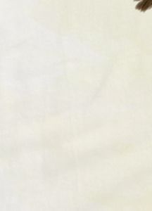 Aviary Premium T Shirt