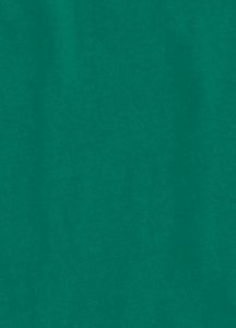 State Premium T Shirt
