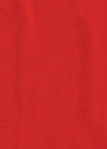 State Premium T Shirt