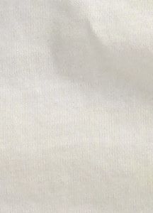 Women's Aviary Premium T Shirt