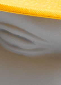 Crest Hat