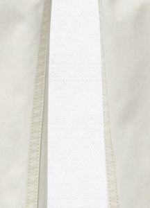 Chino Pant