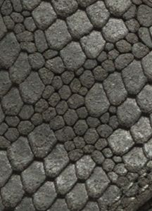 filter suede shoe