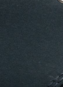 filter ttl shoe