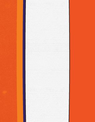 Custom Smalls Snowboard