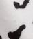 Winter Cat Print