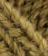 Burlap