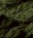Weeds