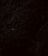 True Black