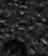True Black