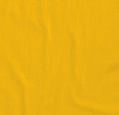 State Premium T Shirt