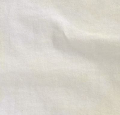Women's Aviary Premium T Shirt