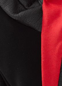 Gore-Tex&reg; Mitt