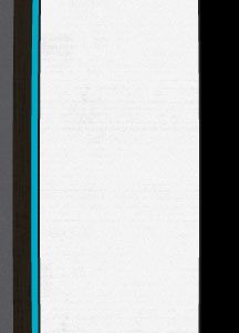 Custom Snowboard