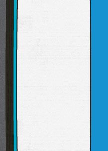 Custom Snowboard