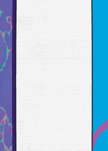 Feather Snowboard