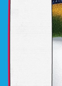 Restricted Custom Snowboard