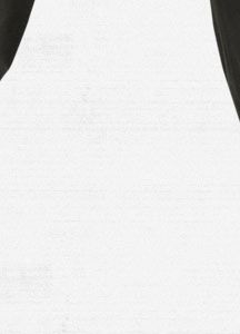 2L Stagger Snowboard Pant