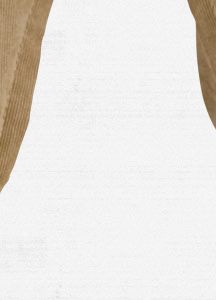 Bulge Snowboard Pant Slim