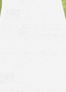 Women's Indulgence Snowboard Pant