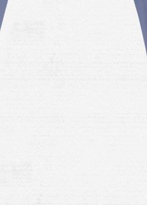 Women's Society Snowboard Pant