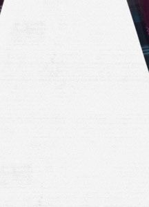 Women's Society Snowboard Pant