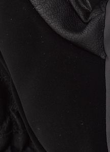 Gore-Tex&reg; Mitt
