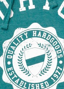 Women's Co-Ed Recycled Pullover Hoodie