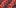 Cardinal Stripe