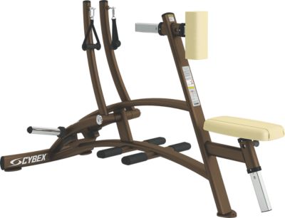 Plate Loaded Row Cybex