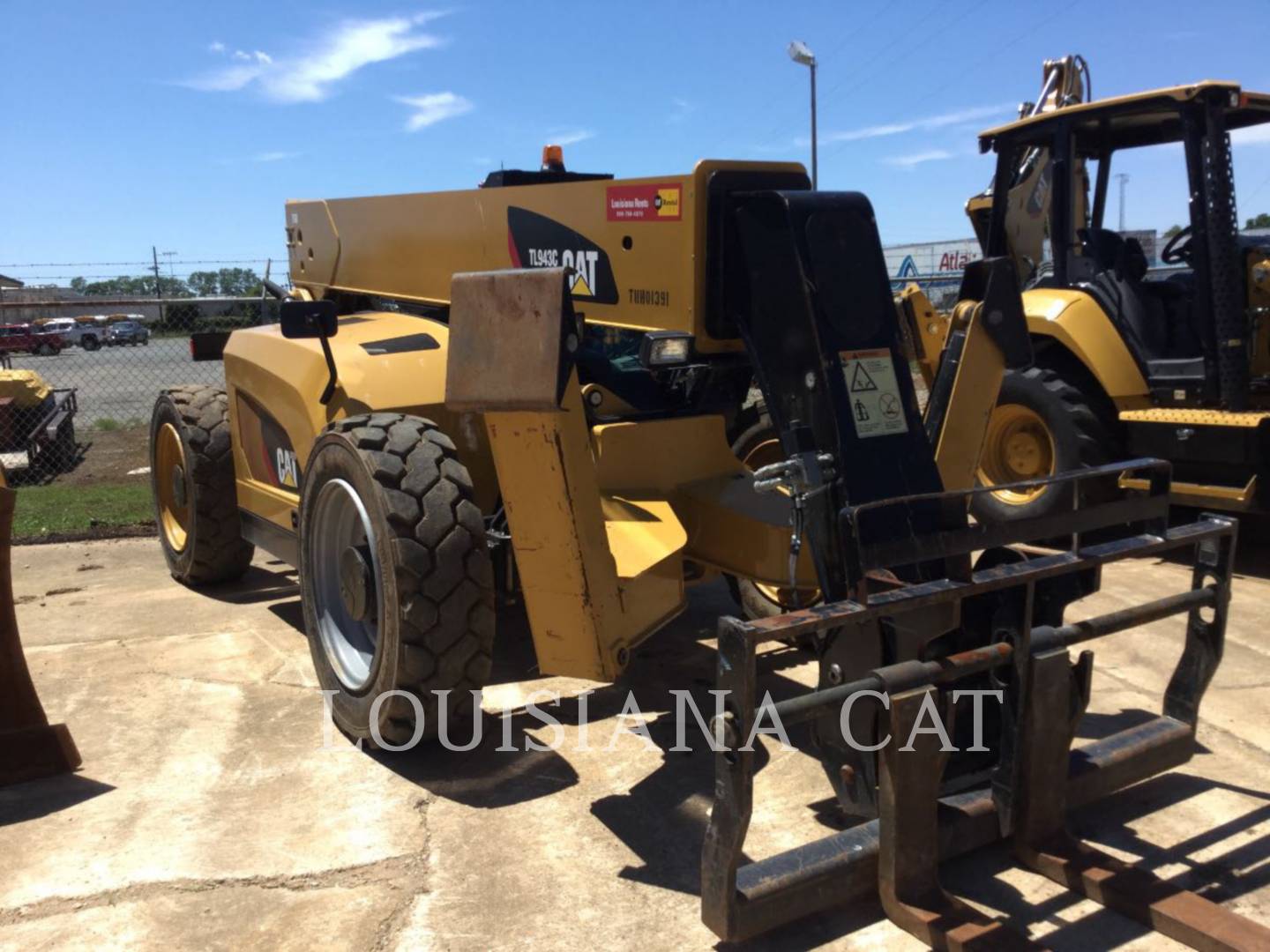 Louisiana Cat Lafayette Louisiana Cat