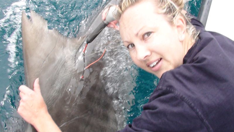 Bonnie Holmes with 'Gennie' the shark photograph 