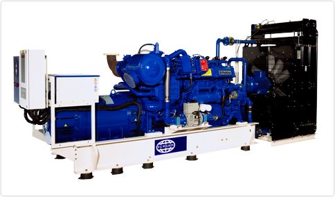 FG Wilson example gas generator set