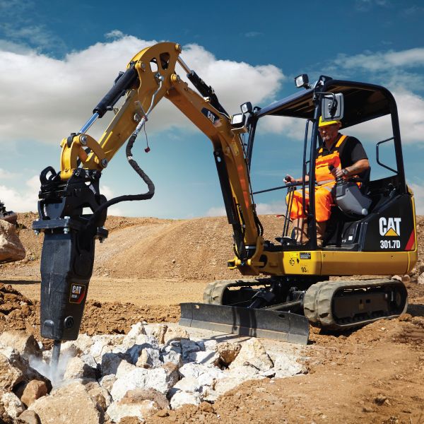Cat Hammers Caterpillar