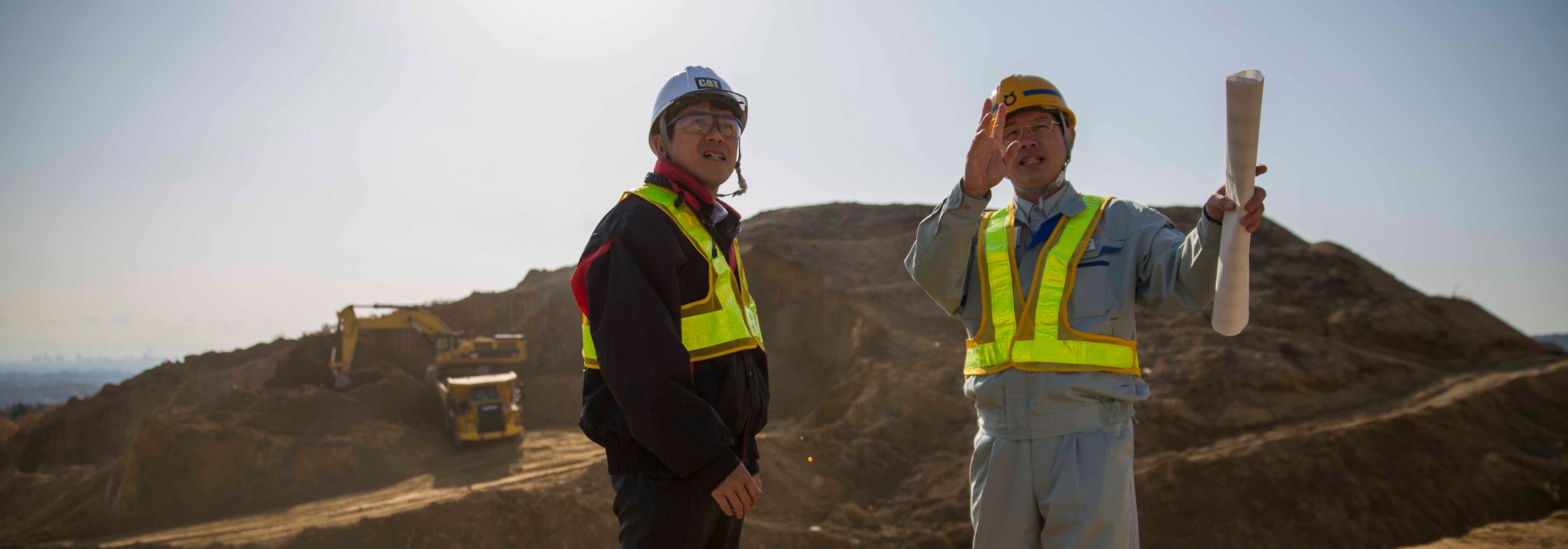 保険オプション